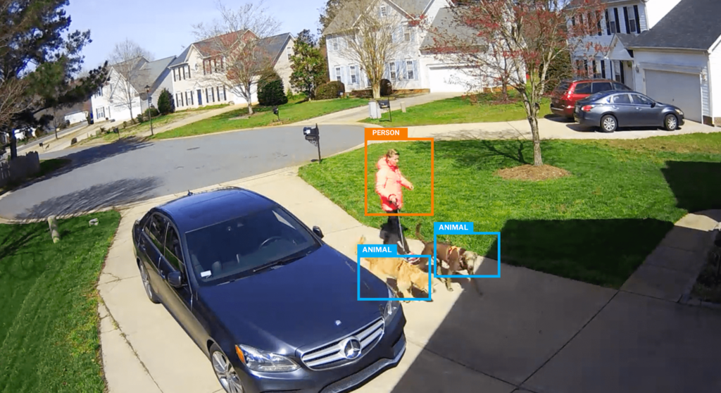 Smart Camera detecting person and animal with analytics