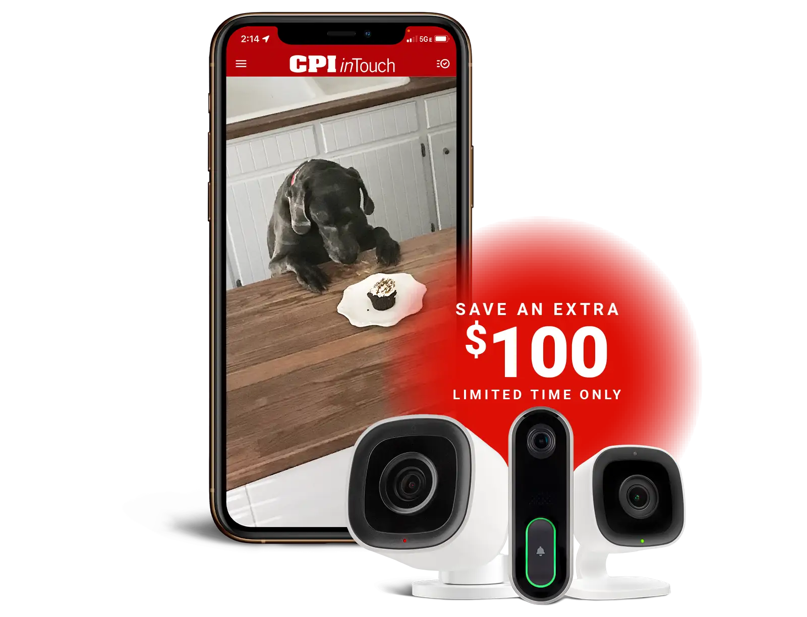Security Camera catches dog – CPI Security – 3 Free Cameras