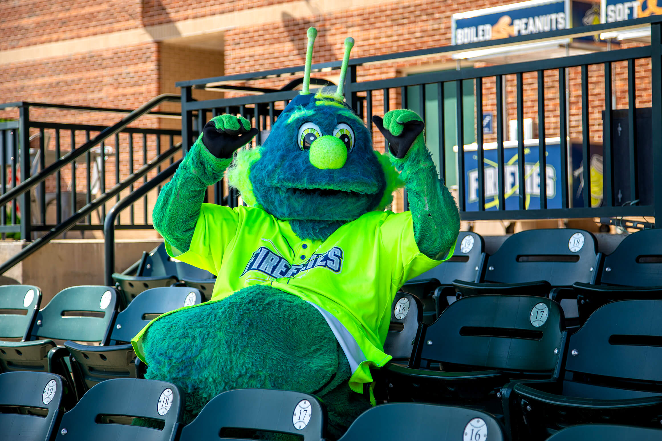 South Bend Cubs Plush Mascot Stu