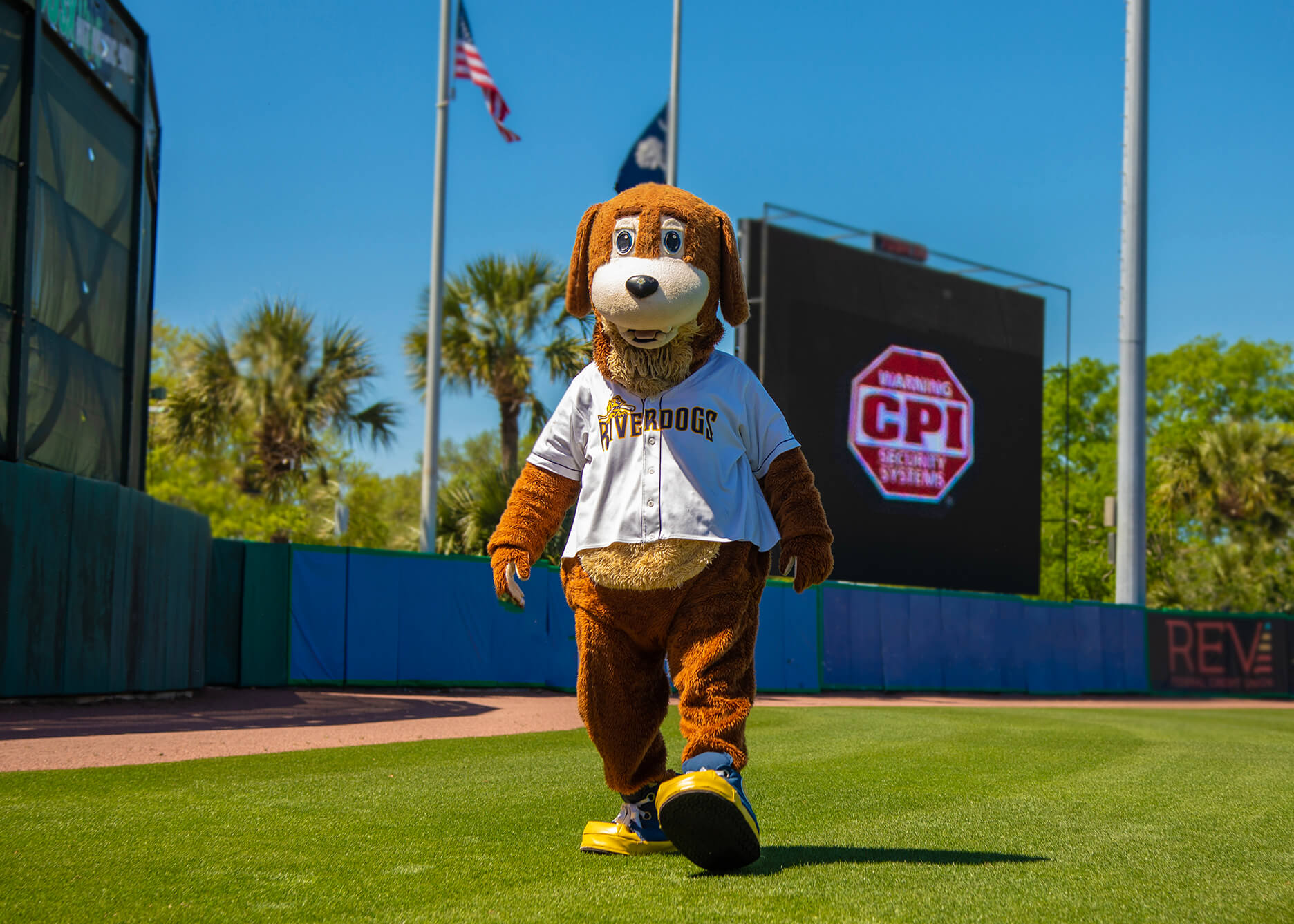 CPI Security and Charleston RiverDogs