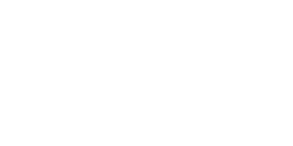 freeCameras-PNG (1) (1)